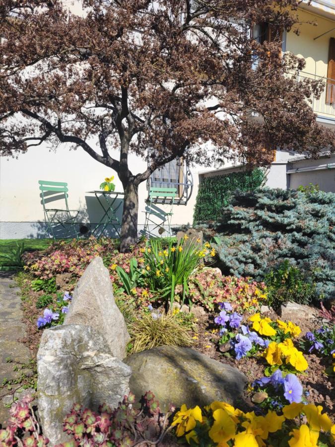 Da Romy Holiday House Mozzo Esterno foto